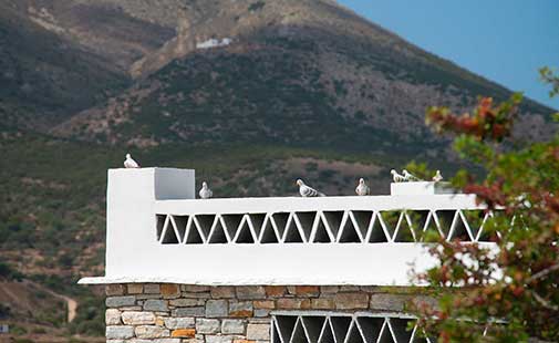 Λεπτομέρειες της κατοικίας Περιστερώνας