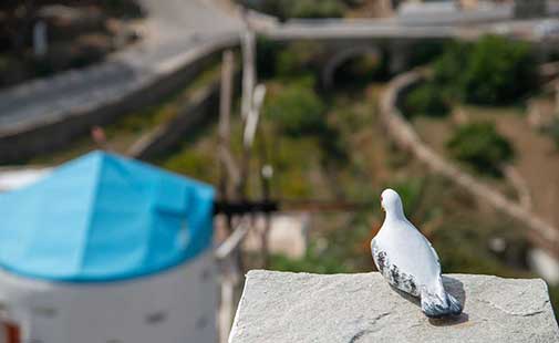 Αναπαλαιωμένος ανεμόμυλος στο Art Houses Sifnos